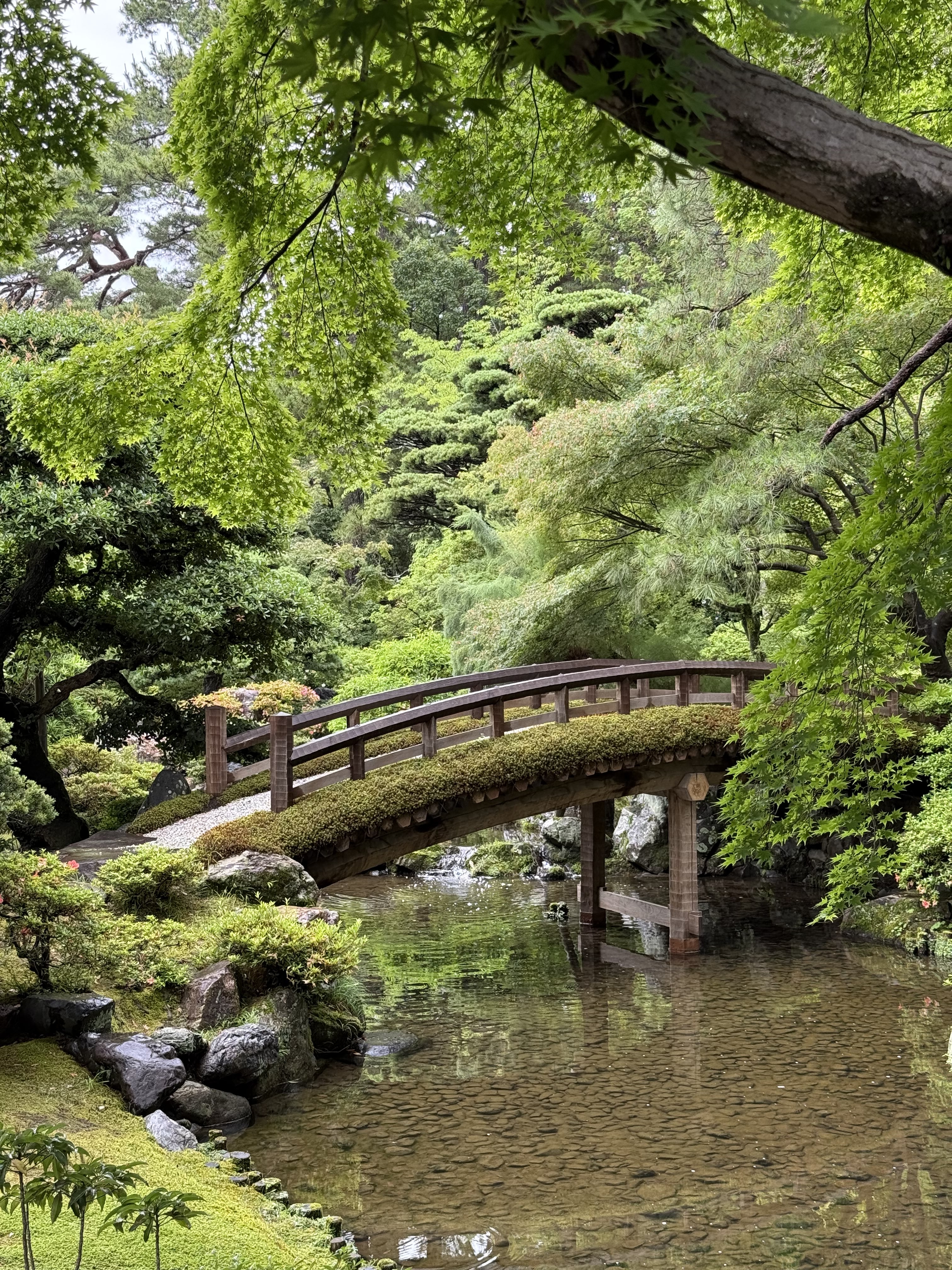A nature bridge over a tidy and vast garden river in Kyoto, Imperial Gardens