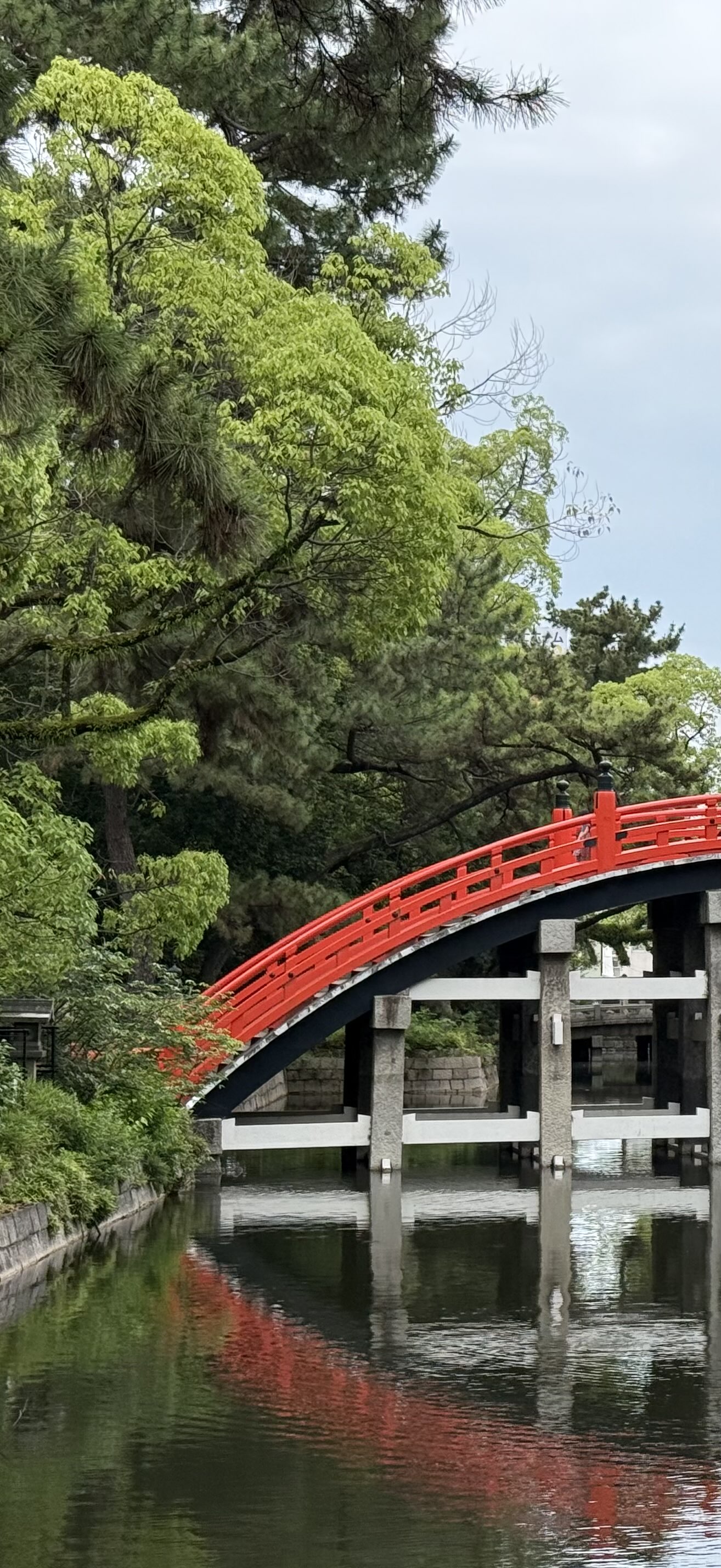 A bright red bridge over a large river with forresty either side in Sumiyoshi Taisha